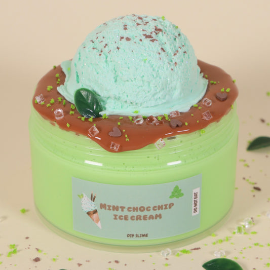 MINT CHOC CHIP ICE CREAM 8oz